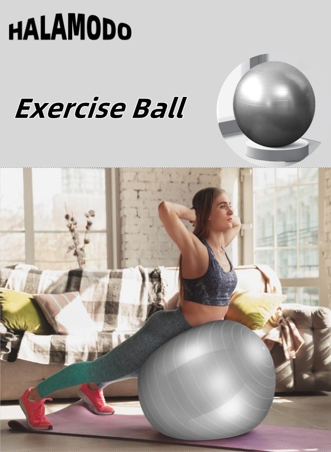 Exercise Ball Set Includes 1pc Air Pump & 1pc Air Tube & 1pc Puller & 1pc Plug & 1pc Instruction Manual Balance Fitness Ball with Professional Grade Anti Burst & Slip Material for Core Training & Yoga Workout