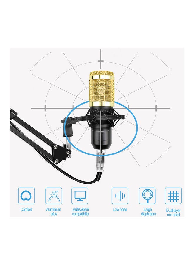 Professional Condenser Microphone Bundle with Live Sound Card, Studio Recording & Broadcasting Set Golden