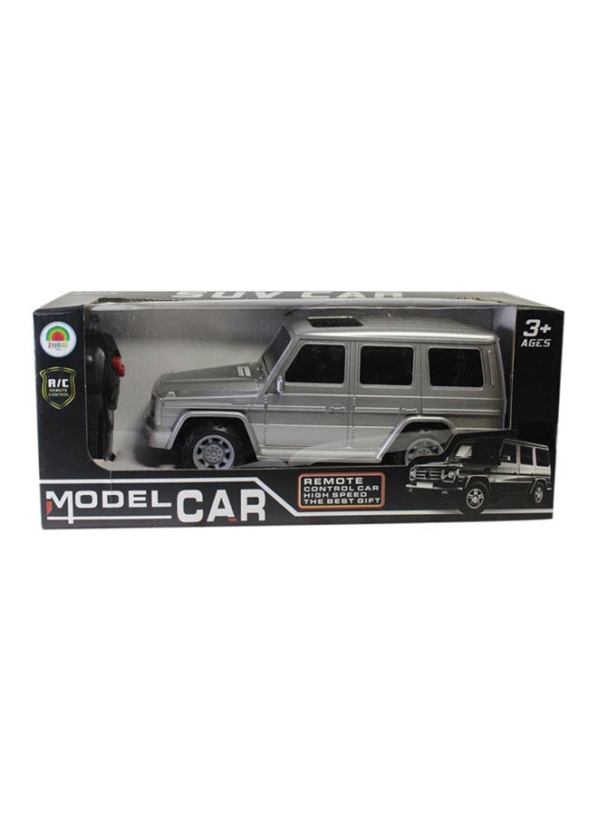 Remote Control Model Car Assorted - Colour May Vary