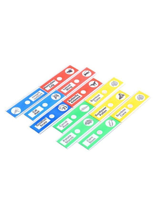 12-Piece Prepared Microscope Animal Printed Slides Set Multicolour