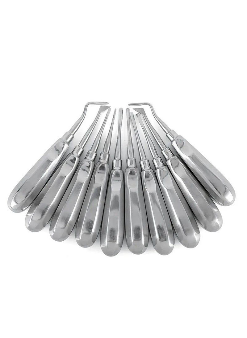 10pcs Dental Elevator Teeth Extraction Tooth Extracting Forceps Stainless Steel Curved Root Lift Elevator Dentist Surgical Tools