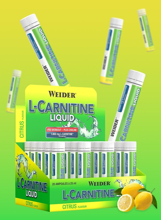 L-Carnitine liquid, Pre workout, Plus choline, 1.800 mg L-carnitine, 20 Ampoules x 25 ml, Citrus flavour