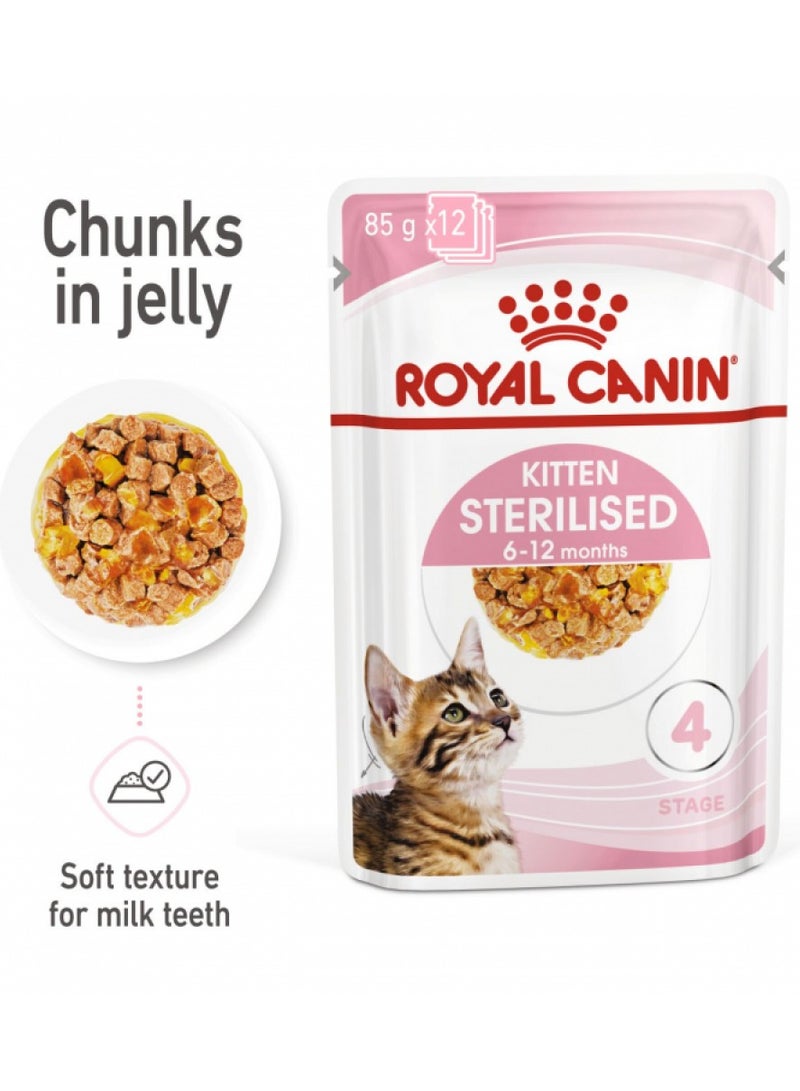 Royal Canin, Feline Health Nutrition, Kitten Sterilised Jelly Wet Food, For Cat - Pouches 12Pcs x 85g in 1Box