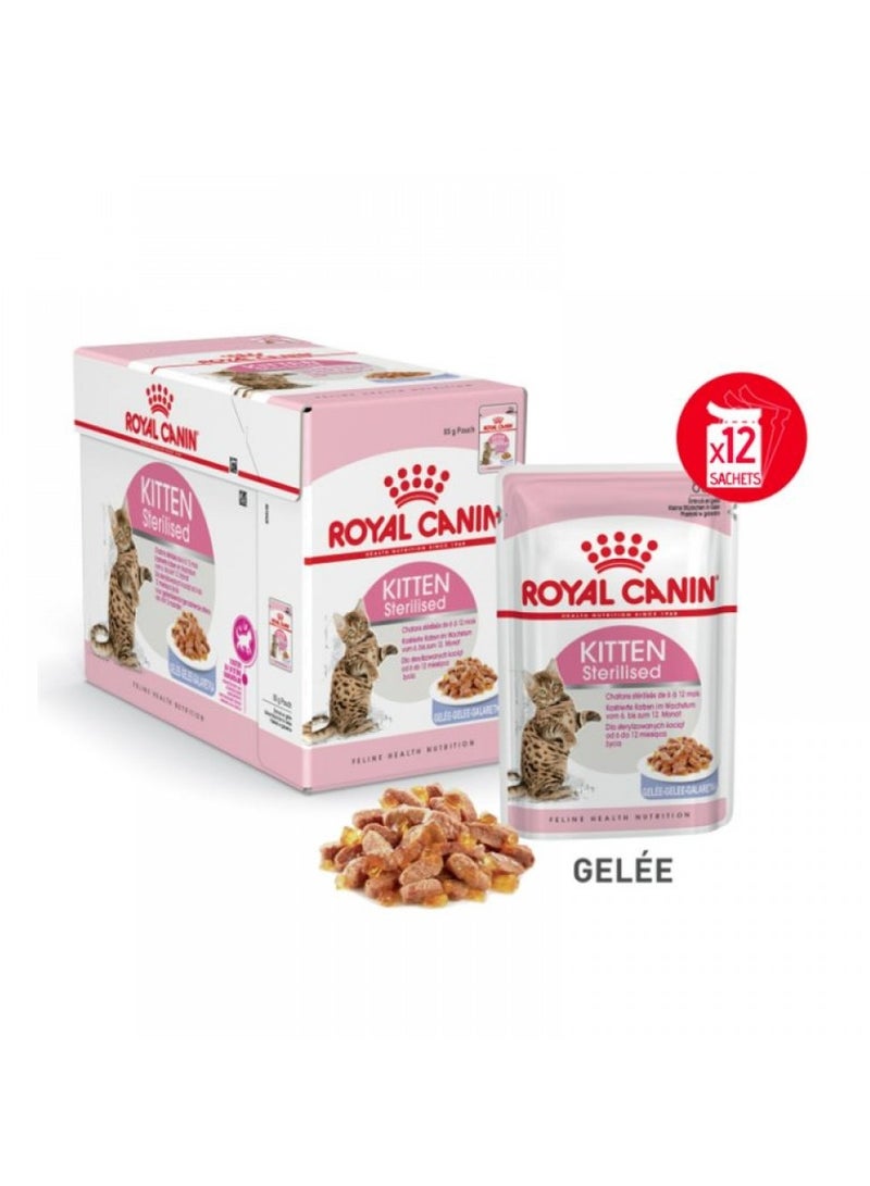 Royal Canin, Feline Health Nutrition, Kitten Sterilised Jelly Wet Food, For Cat - Pouches 12Pcs x 85g in 1Box