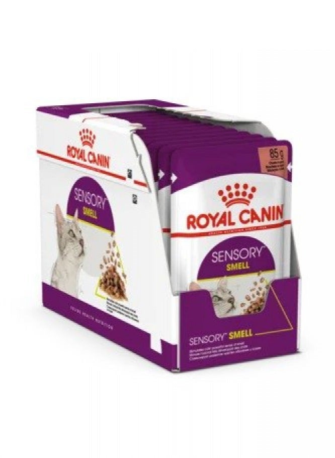 Royal Canin, Feline Health Nutrition, Sensory Smell Gravy Wet Food Pouches For Cat - 12Pcs x 85G in 1 Box