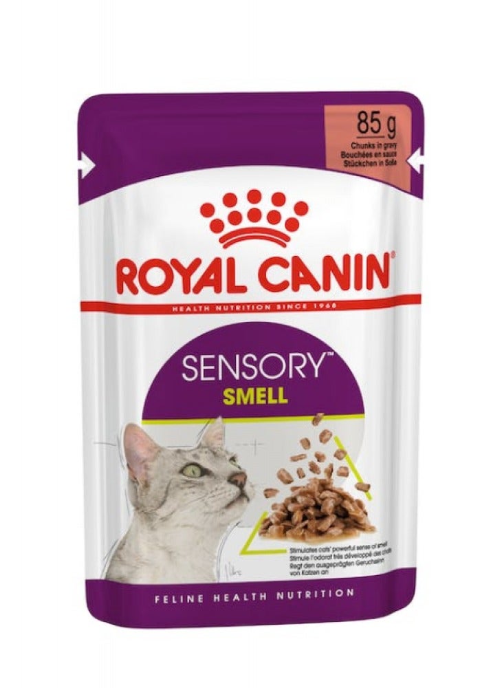 Royal Canin, Feline Health Nutrition, Sensory Smell Gravy Wet Food Pouches For Cat - 12Pcs x 85G in 1 Box