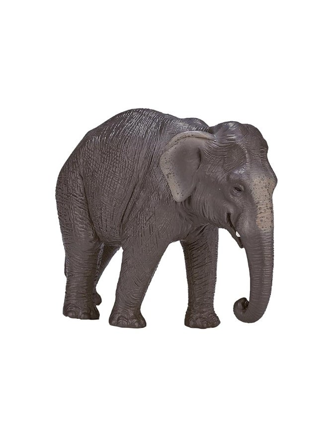 MOJO Asian Elephant Realistic International Wildlife Toy Replica Hand Painted Figurine