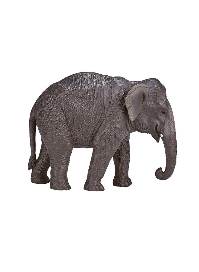 MOJO Asian Elephant Realistic International Wildlife Toy Replica Hand Painted Figurine