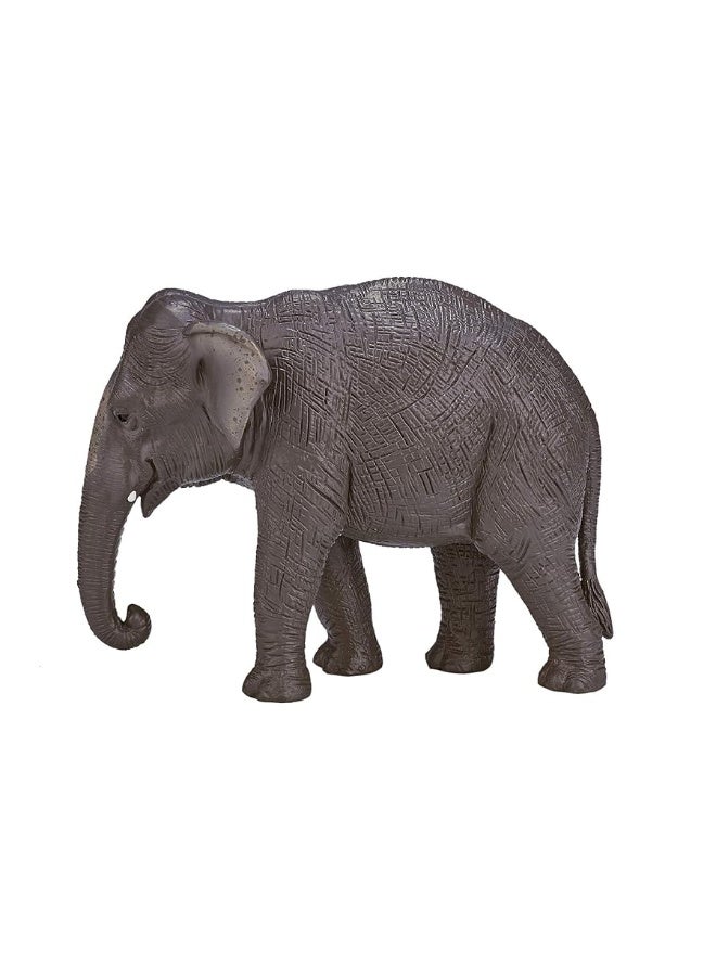 MOJO Asian Elephant Realistic International Wildlife Toy Replica Hand Painted Figurine