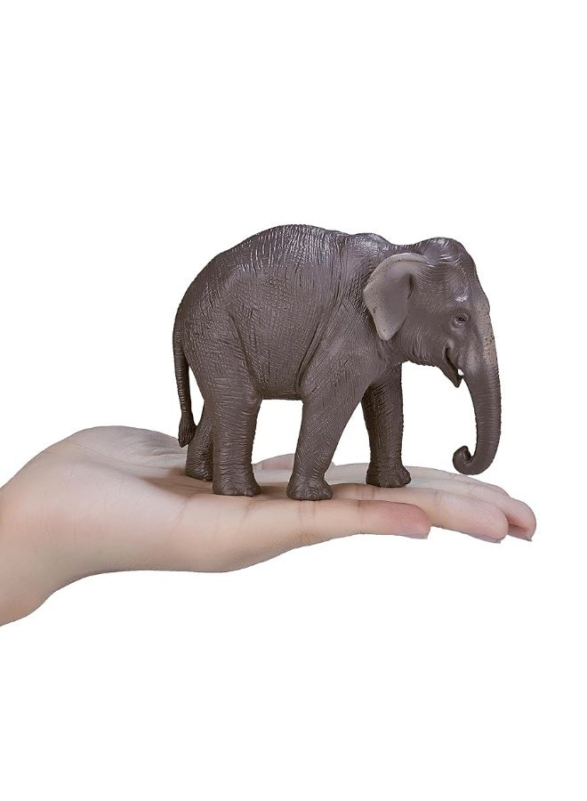 MOJO Asian Elephant Realistic International Wildlife Toy Replica Hand Painted Figurine