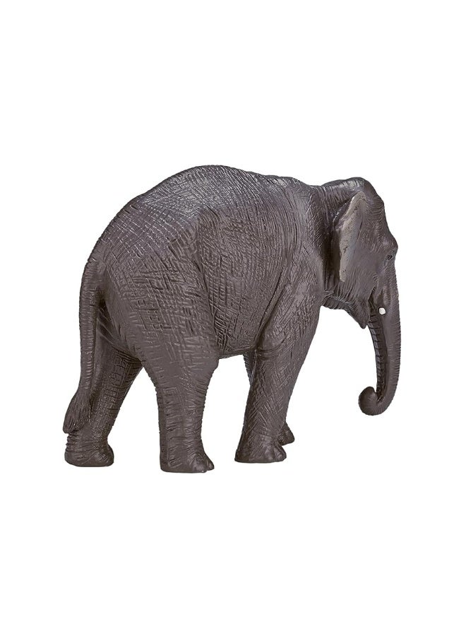 MOJO Asian Elephant Realistic International Wildlife Toy Replica Hand Painted Figurine