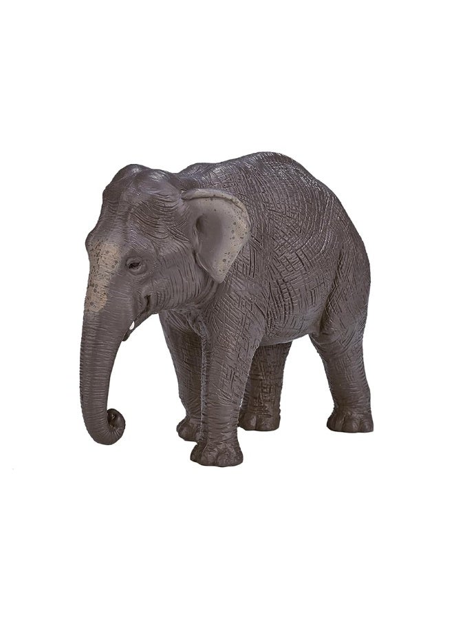 MOJO Asian Elephant Realistic International Wildlife Toy Replica Hand Painted Figurine