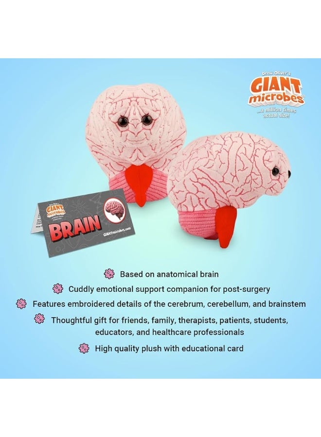 GIANTmicrobes Brain Plush, Brain Toy, Brain Stuffed Animal, Brain Gifts For Neurologist, Brain Surgery Recovery Gifts, Neurology Gifts, Neuroscience Gifts, Brain Injury Gift, Brain Decor, Biology Gift