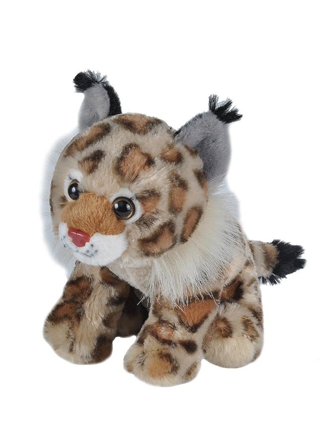 Wild Republic Bobcat Plush, Stuffed Animal, Plush Toy, Gifts for Kids, Cuddlekins, 8 Inches,Multi