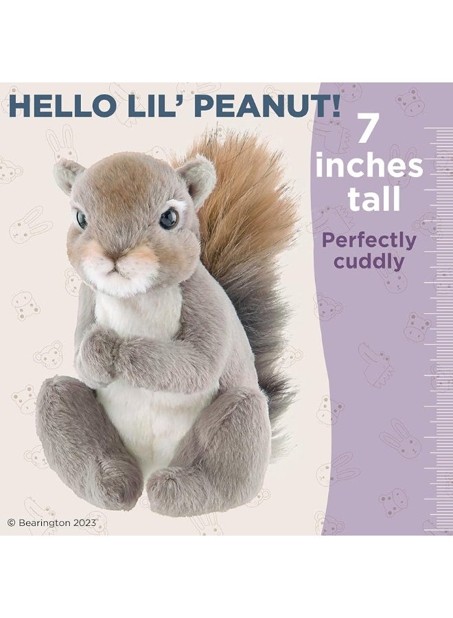 Bearington Lil' Peanut The Squirrel Stuffed Animal, 7 Inch Realistic Stuffed Animal