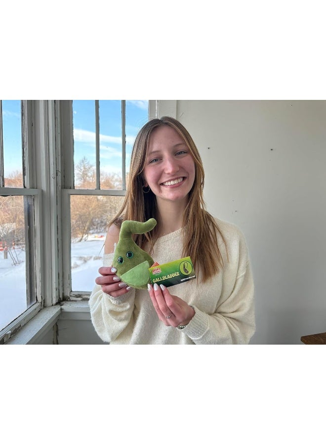 GIANTmicrobes Gallbladder Plush, Gallbladder Stuffed Animal, Gallbladder Surgery Gifts, Gallbladder Plush Toy, Gallbladder Removal Gift, Gastroenterology Gifts, Gastroenterologist Gifts, Get Well Gift