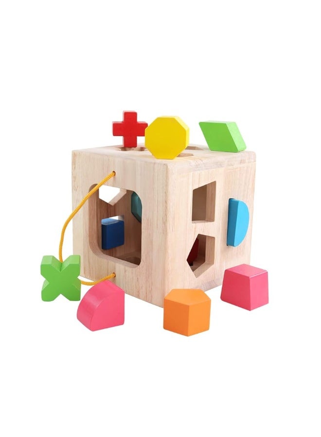 Shape Sorter Toy My First Wooden 12 Building Blocks Geometry Learning Matching Sorting Gifts Didactic Classic Toys for Toddlers Baby Kids 2 3 Years Old