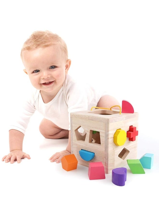 Shape Sorter Toy My First Wooden 12 Building Blocks Geometry Learning Matching Sorting Gifts Didactic Classic Toys for Toddlers Baby Kids 2 3 Years Old