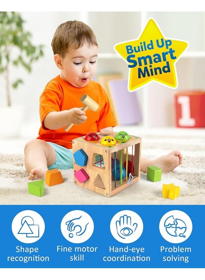 Coogam Wooden Montessori Toys for Toddlers, Shape Sorting Cube Whack Mole Fine Motor Skills Game for 1 2 3 Year Old 18 Month Baby Boys Girls Gift