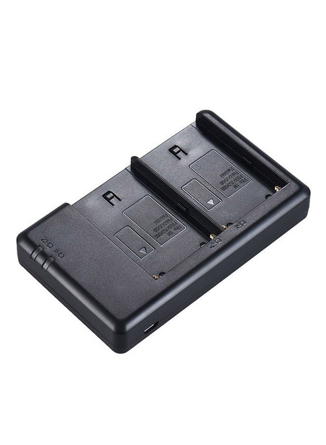 Dual Channel Digital Camera Battery Charger With LCD Display For Canon