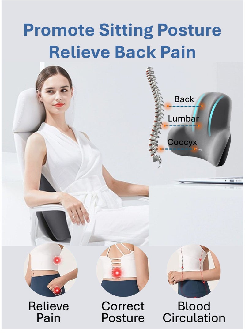 Lumber Back Support Pillow | Back Cushion | Ergonomic Memory Foam for Back Support, Improve Posture, Relieve Sciatica & Tailbone & Back Pain, Good for Office Chair, Gaming Chair, Car Seat (Grey)