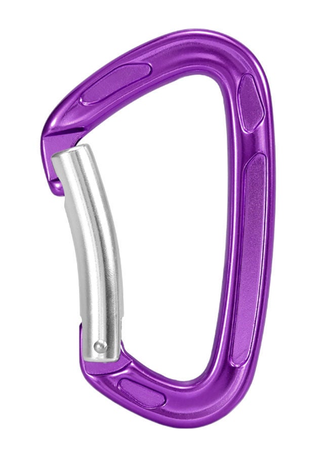 Heavy Duty D Shaped Carabiner