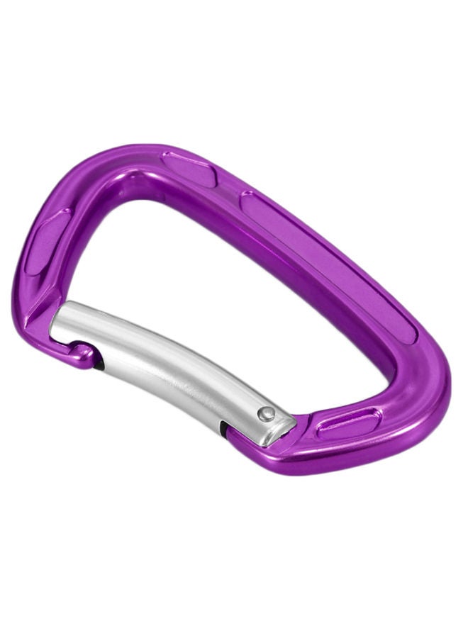 Heavy Duty D Shaped Carabiner