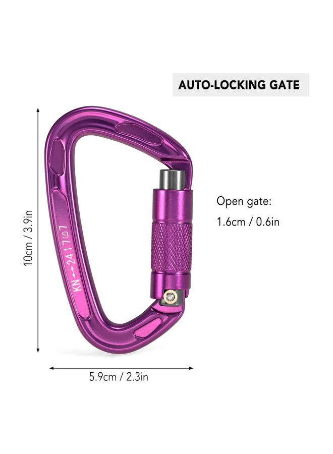 D-Ring Auto Lock Carabiner