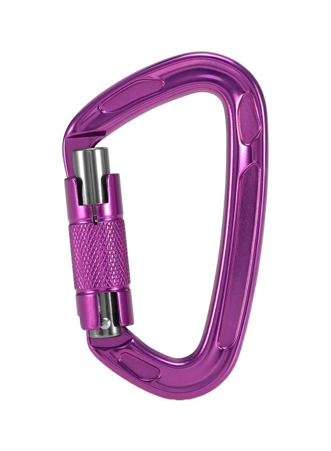 D-Ring Auto Lock Carabiner