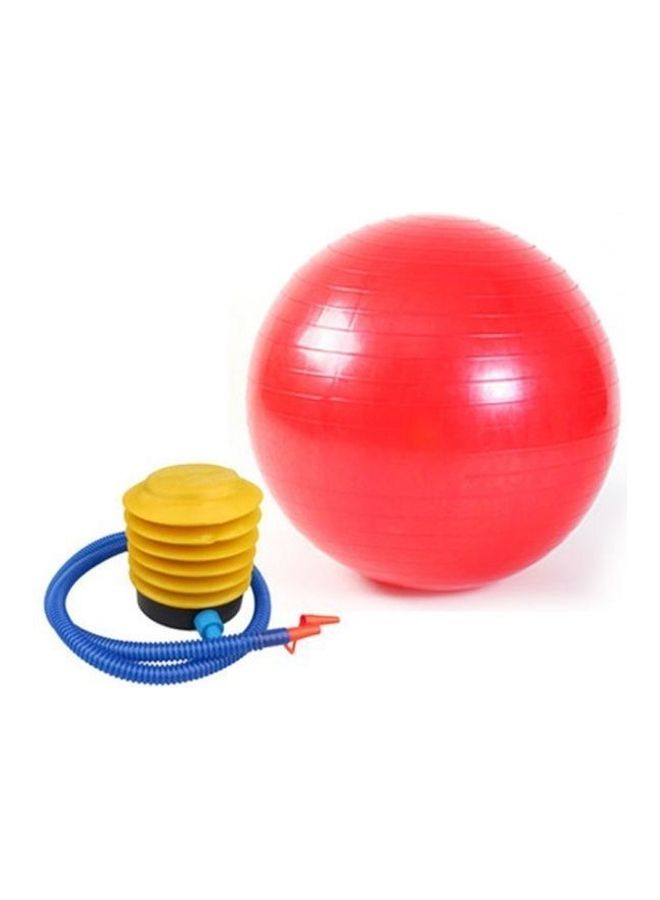 Swiss Ball Fitness Eercise Gym Yoga Ab Abdominal Fit Toning Weight Loss 65cm