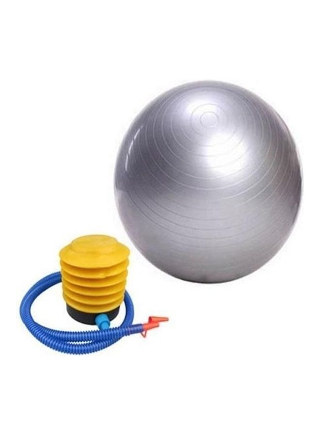 Newest Swiss Eercise Fitness Aerobic Ball For Gym Yoga Pilates Pregnancy Birthing 65cm