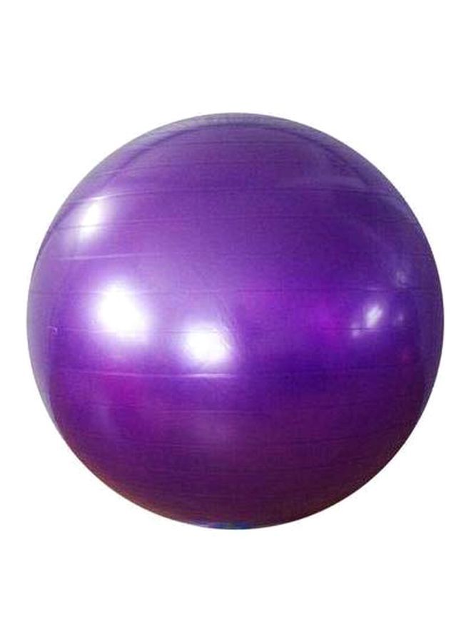 Swiss Ball With Pump Set 65centimeter