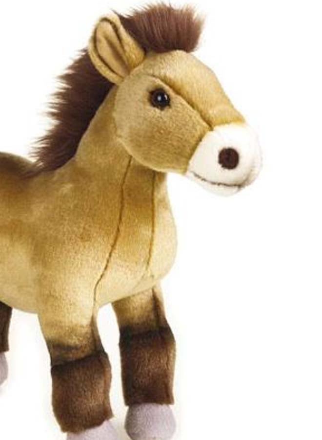 Przewalski's Horse Stuffed Plush Toy 12inch