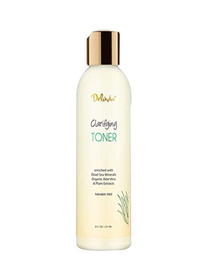 Clarifying Facial Toner