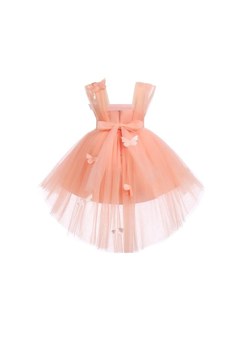 Baby Girls 3D Butterfly Tulle Tutu Dress Kids Birthday Christening Wedding Party Dresses Cake Smash Photo Shoot