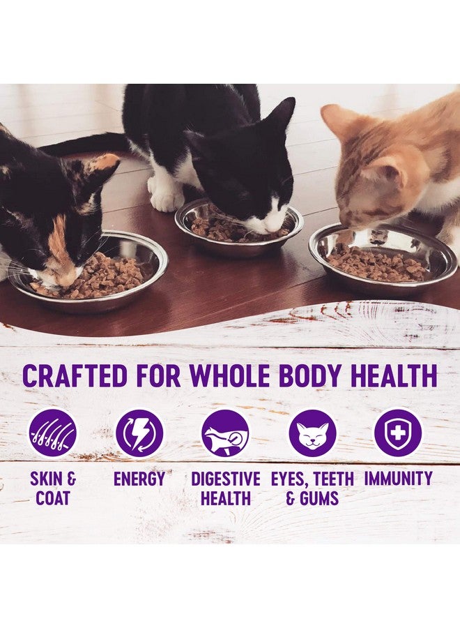 Healthy Indulgence Natural Grain Free Wet Cat Food, Morsels Chicken & Turkey, 3Ounce Pouch (Pack Of 24)