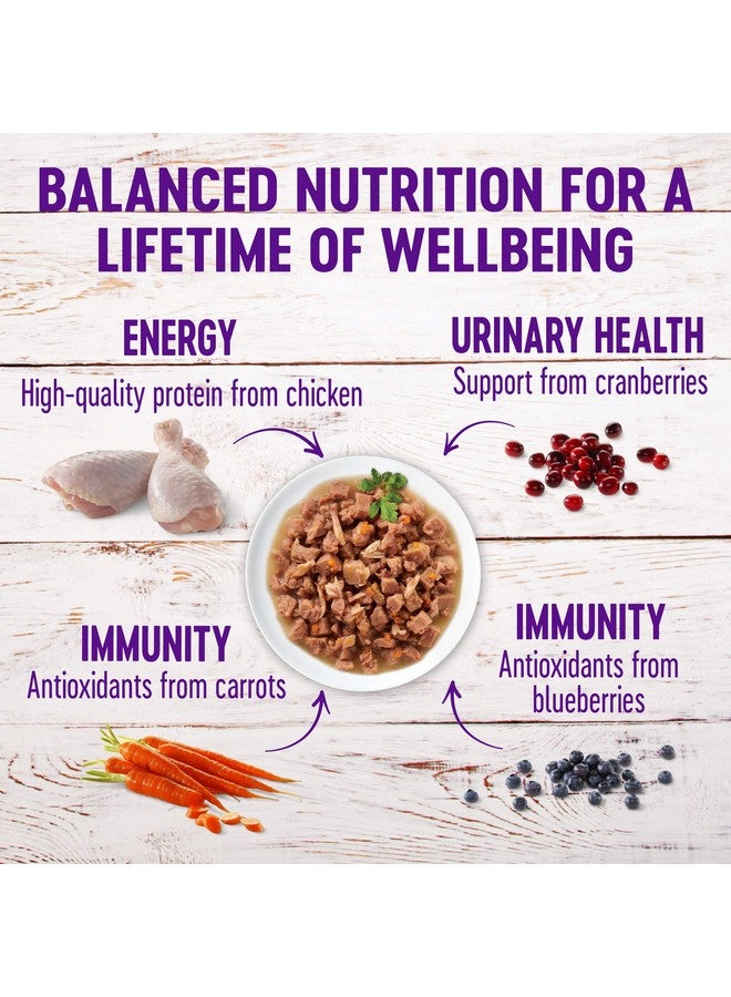 Healthy Indulgence Natural Grain Free Wet Cat Food, Morsels Chicken & Turkey, 3Ounce Pouch (Pack Of 24)