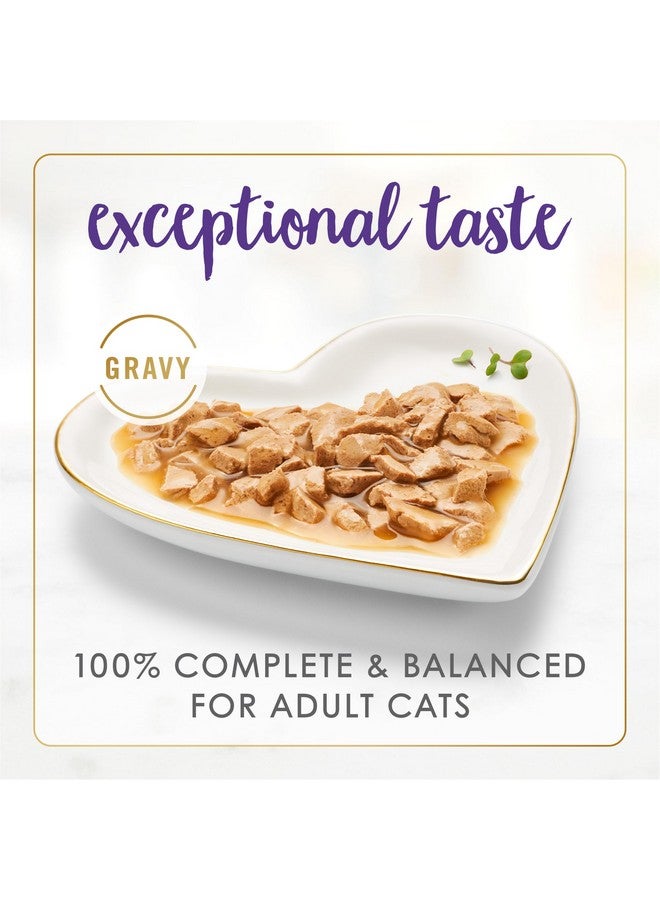 Y Feast Gravy Lovers Chicken And Beef Feast Gourmet Cat Food In Wet Cat Food Gravy  3 Ounce (Pack Of 24)