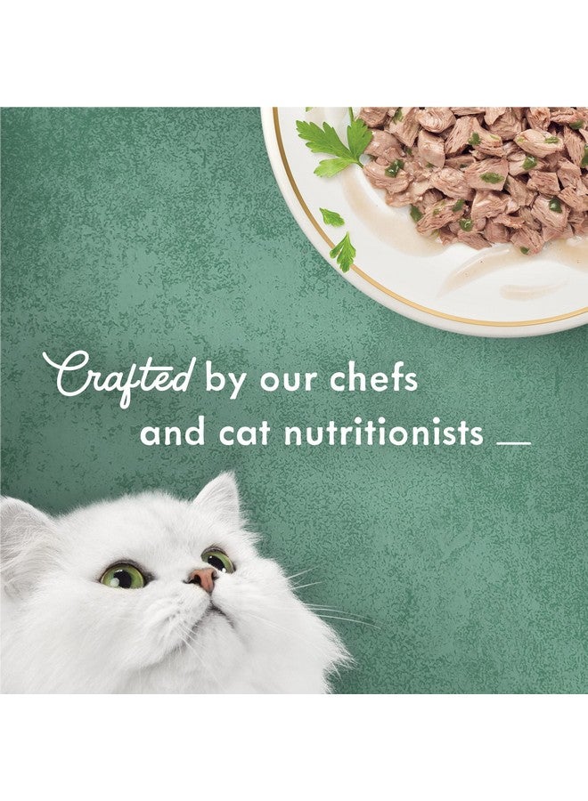 Y Feast Wet Cat Food, Medleys Wild Salmon Florentine With Garden Greens In Delicate Sauce  (Pack Of 24) 3 Oz. Cans