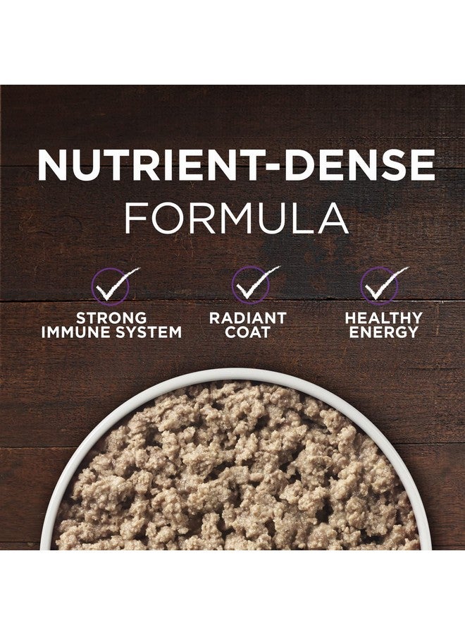 Wet Dog Food True Instinct Classic Ground GrainFree Formula With Real Beef And Bison High Protein Dog Food  (Pack Of 12) 13 Oz. Cans