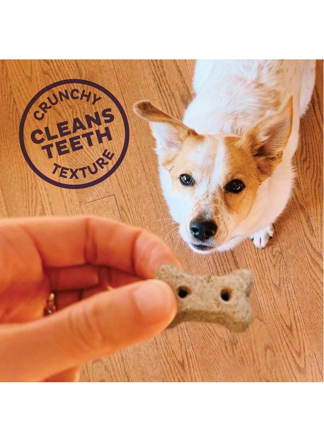 By Wellness Classic PNuttier 'N Nanners Grain Free Natural Dog Treats, Crunchy OvenBaked Biscuits, Ideal For Training, MiniSize, 16 Ounce Bag