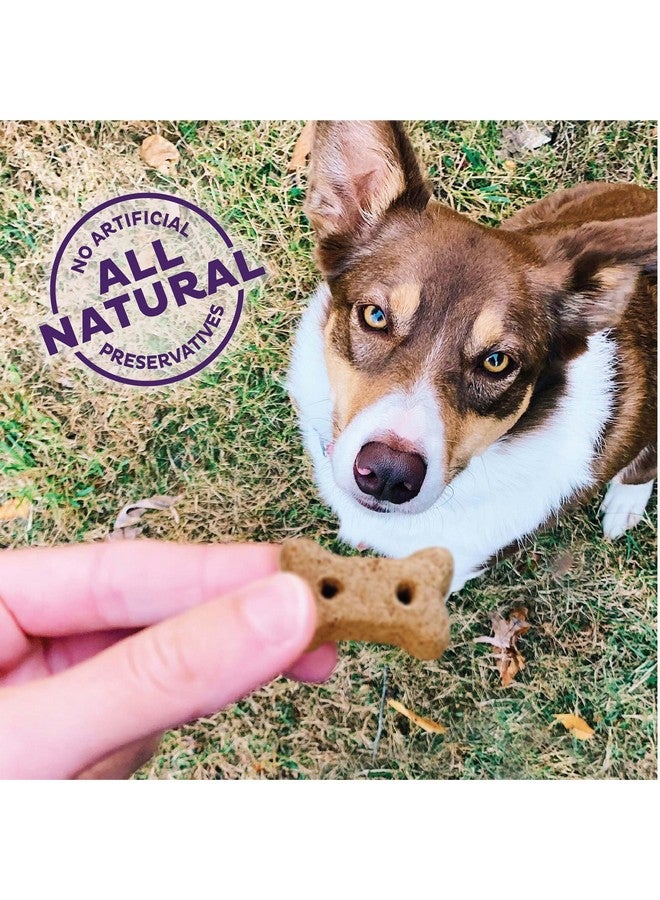 By Wellness Classic PNuttier 'N Nanners Grain Free Natural Dog Treats, Crunchy OvenBaked Biscuits, Ideal For Training, MiniSize, 16 Ounce Bag