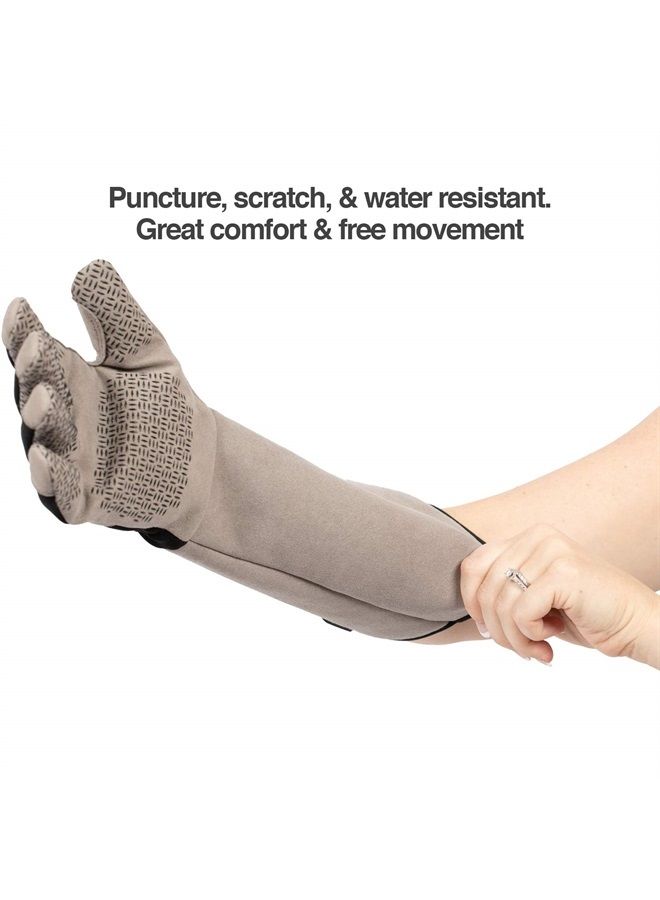 Multipurpose Pet Glove for Grooming, Trips to Vet, Handling. [Puncture & Scratch Resistant, Water Resistant]. 12 Month Warranty for Manufacturer Defects, Grey, Large (PF-HG1A)