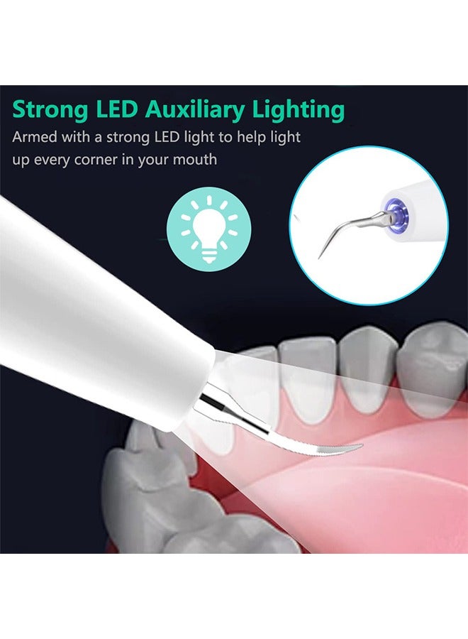 Household Tooth Cleaner, Electric Rechargeable Plaque Remover for Teeth,Teeth Cleaning Kit with LED Light, Teeth Whitening Kit, Teeth Cleaning Calculus Removal, Oral Hygiene Set, Dental Instruments