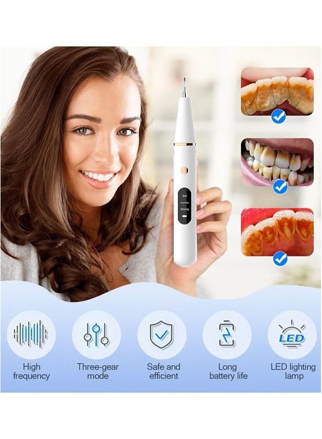 Household Tooth Cleaner, Electric Rechargeable Plaque Remover for Teeth,Teeth Cleaning Kit with LED Light, Teeth Whitening Kit, Teeth Cleaning Calculus Removal, Oral Hygiene Set, Dental Instruments