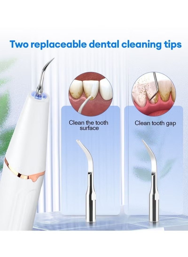 Household Tooth Cleaner, Electric Rechargeable Plaque Remover for Teeth,Teeth Cleaning Kit with LED Light, Teeth Whitening Kit, Teeth Cleaning Calculus Removal, Oral Hygiene Set, Dental Instruments