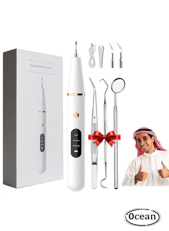 Household Tooth Cleaner, Electric Rechargeable Plaque Remover for Teeth,Teeth Cleaning Kit with LED Light, Teeth Whitening Kit, Teeth Cleaning Calculus Removal, Oral Hygiene Set, Dental Instruments