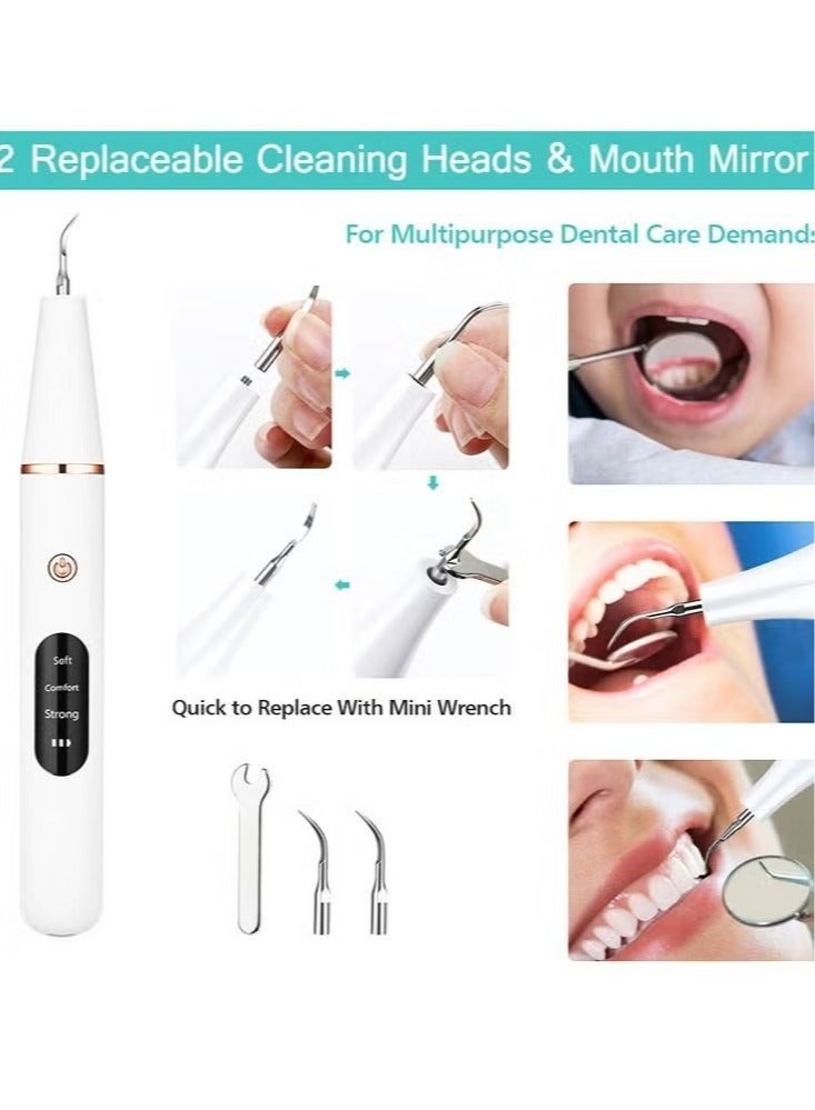 Household Tooth Cleaner, Electric Rechargeable Plaque Remover for Teeth,Teeth Cleaning Kit with LED Light, Teeth Whitening Kit, Teeth Cleaning Calculus Removal, Oral Hygiene Set, Dental Instruments