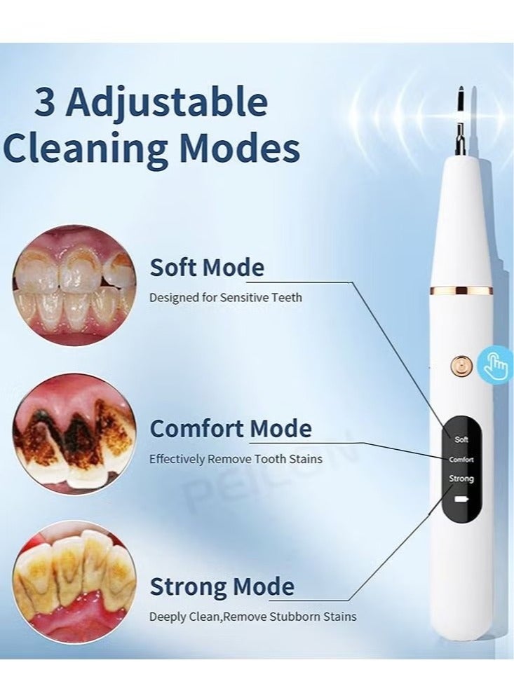 Household Tooth Cleaner, Electric Rechargeable Plaque Remover for Teeth,Teeth Cleaning Kit with LED Light, Teeth Whitening Kit, Teeth Cleaning Calculus Removal, Oral Hygiene Set, Dental Instruments