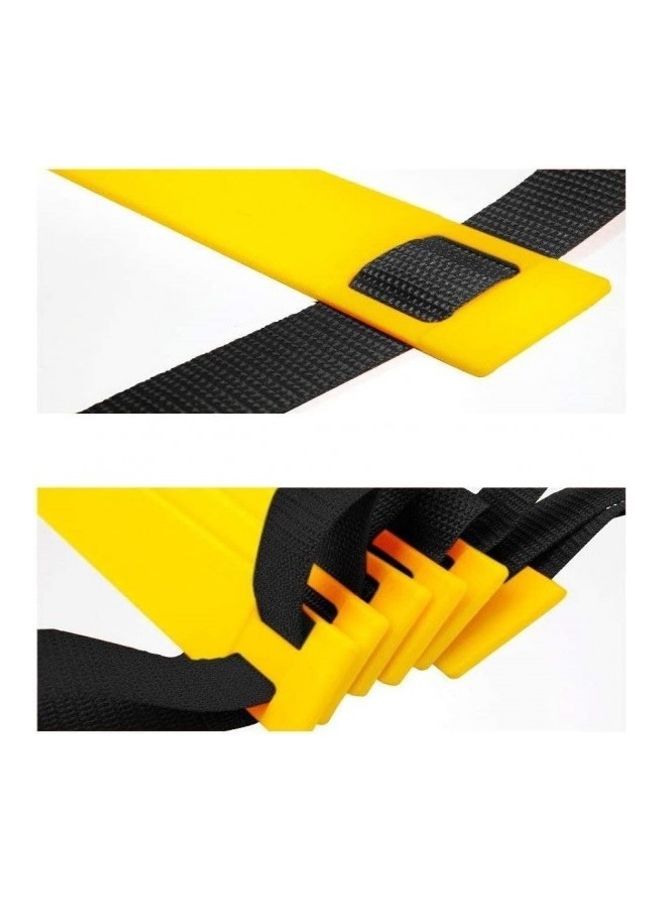 Agility Ladder Speed Training 12 adjustable Rungs With Carrying Bag